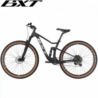 Carbon mountain bike