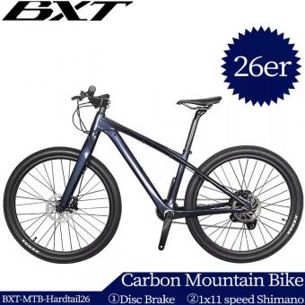 Carbon mountain bike